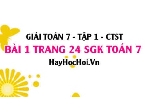 Giải bài 1 trang 24 Toán 7 Tập 1 SGK Chân trời sáng tạo